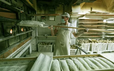 Your Guide to Skills Needed in Your Food Factory Workers
