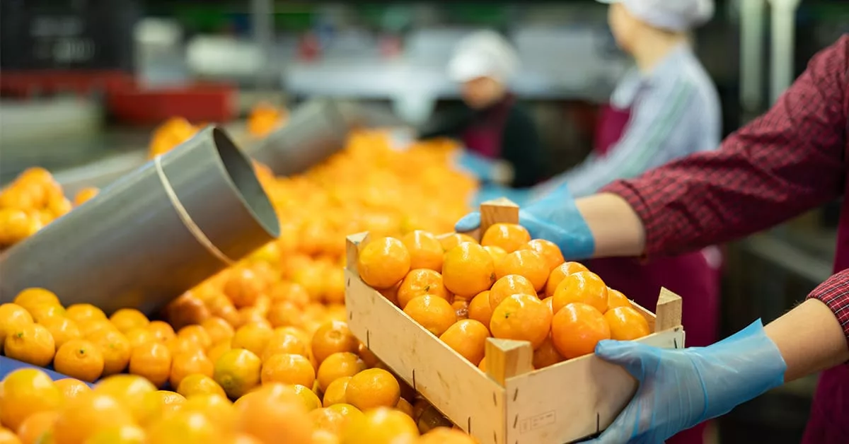 How to Find Qualified Seasonal Labor for Hiring... On Time?